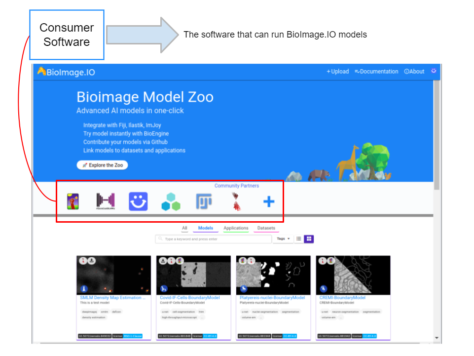 Consumer Software of Bioimageio