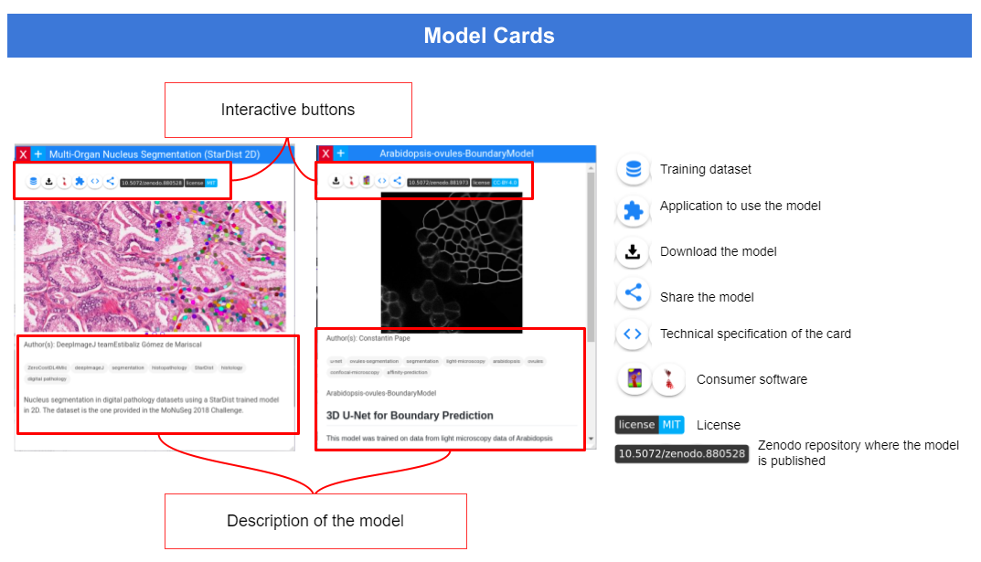 BioImage Model Zoo Model Cards