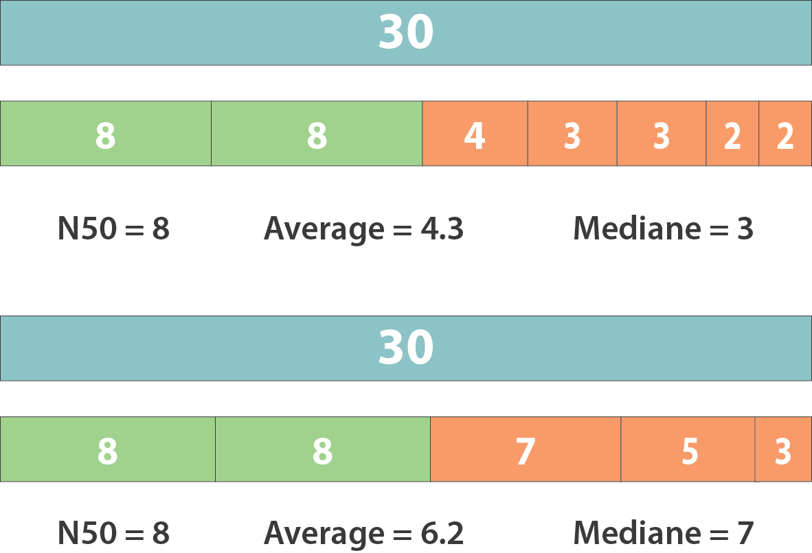 Schematic explanation of N50 and it limits