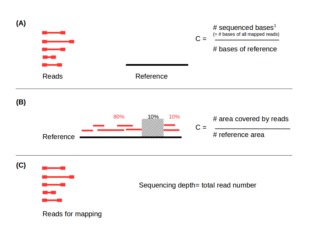 Illustration of coverage and depth