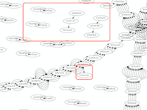 Zoom on graph region containing sequencing errors