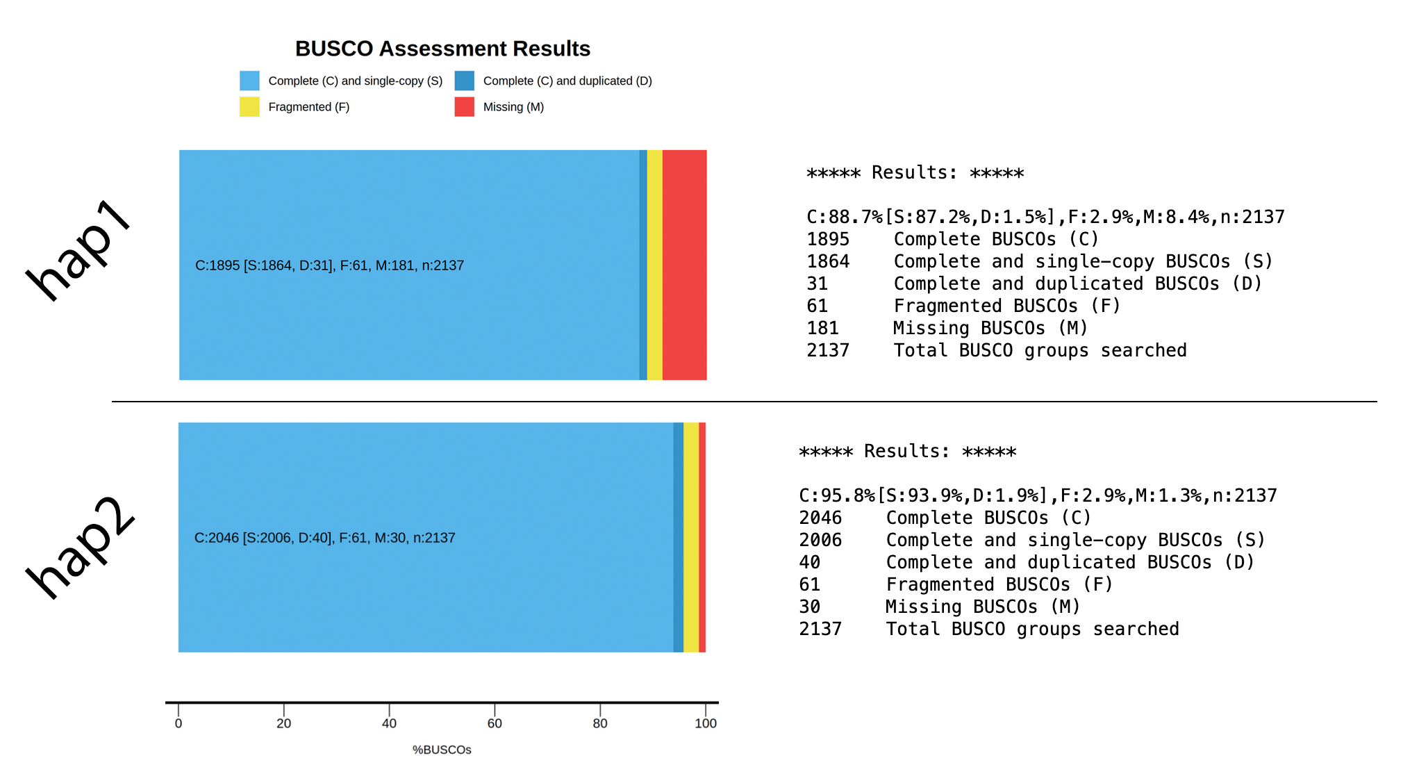 BUSCO for hap1 & hap2.