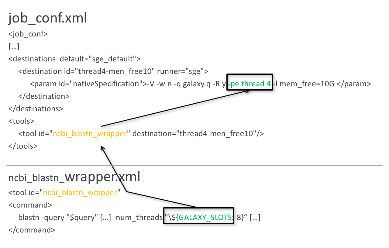 Screenshot of two xml files. In the top is the jb_conf.xml where a command line job submission specification indicates that it will be submitted with 4 threads. A single tool, ncbi blastn wrapper is assigned to that destination. In the second xml file the blastn command uses the GALAXY_SLOTS variable to control how many threads are supplied to the tool.