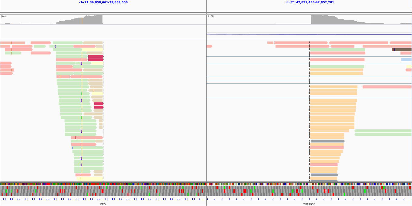 Screenshot of IGV with presumably the same bam file from before showing a large gap in the alignment, now clear due to a visualisation.