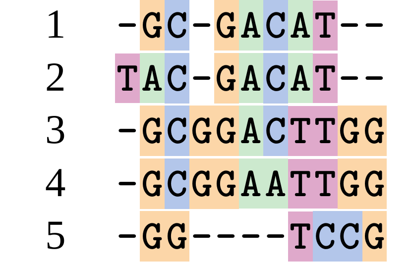 A possible alignment of five DNA sequences arranged vertically. Gaps have been introduced to align homologous sites. Nucleotides are colour coded G = orange, C = blue, A = green, T = pink