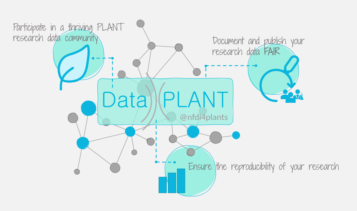 DataPLANT: participate in a thriving PLANT data research community, document and publish your research data FAIR, ensure the reproducibility of your research