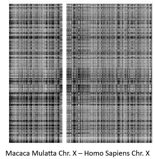 An even larger, denser dot plot is shown with a very low signal to noise ratio.