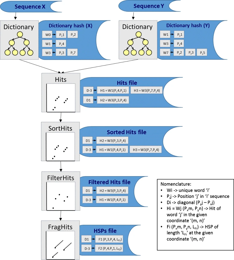 Sequence X and Y enter the pipeline and produce two dictionary and dictionary hashes. These are combined into a hits file which shows a dotplot with several circles in diagonals. These are then sorted, filtered, and produce a set of HSPs which show the same dots connected up into diagonal lines.