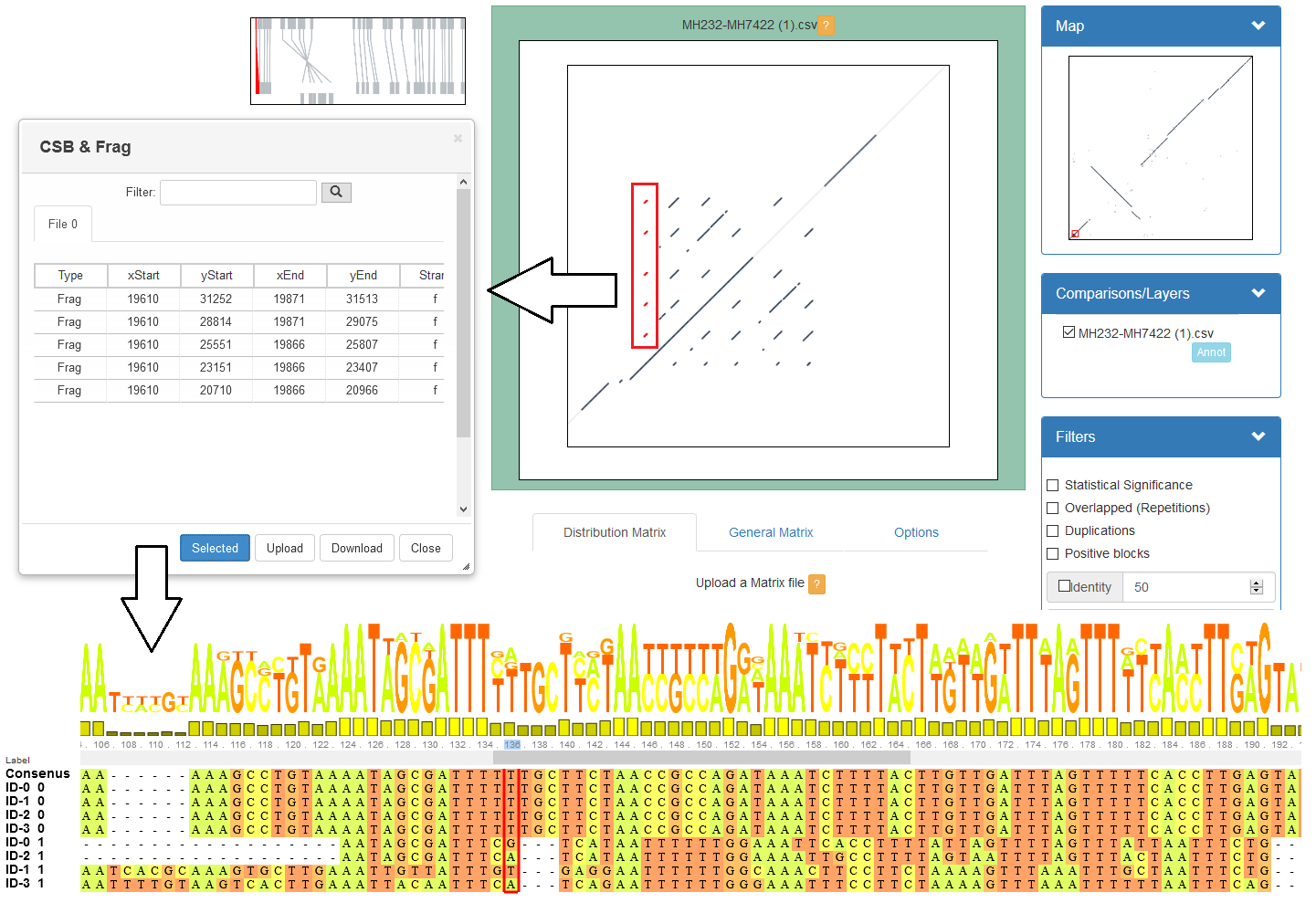 The same application is shown with a set of repeats highlighted, and pulled out into a table and at the bottom a sequence logo is shown with the multiple sequence alignment.