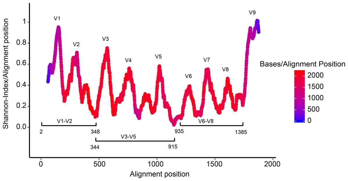 line graph showing V regions as peaks along x axis of alignment position, and y index of shannon-index/alignment-index.