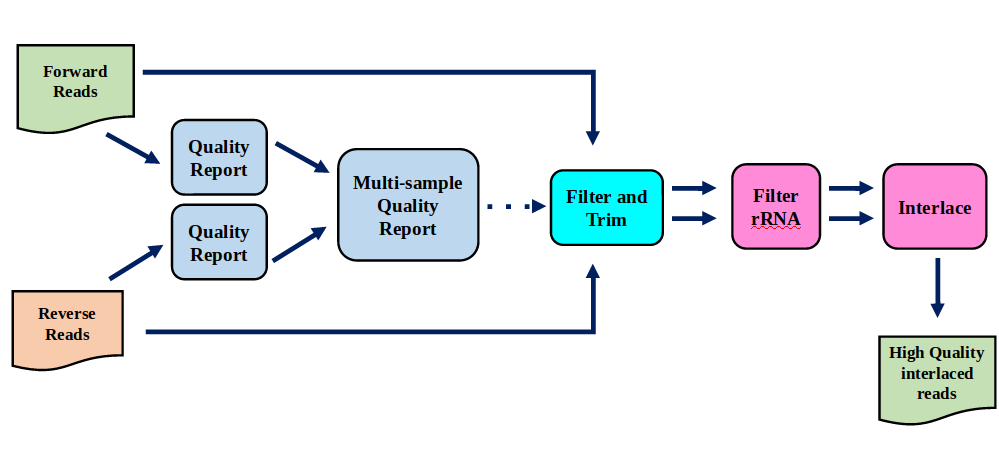 preprocessing workflow