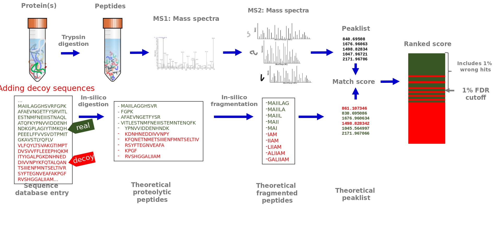 The previous process has added decoy sequences to the sequence database. The rest is the same. A ranked score chart on the right shows a combination of real and decoy colours. 1% FDR cutoff is written next to a point.