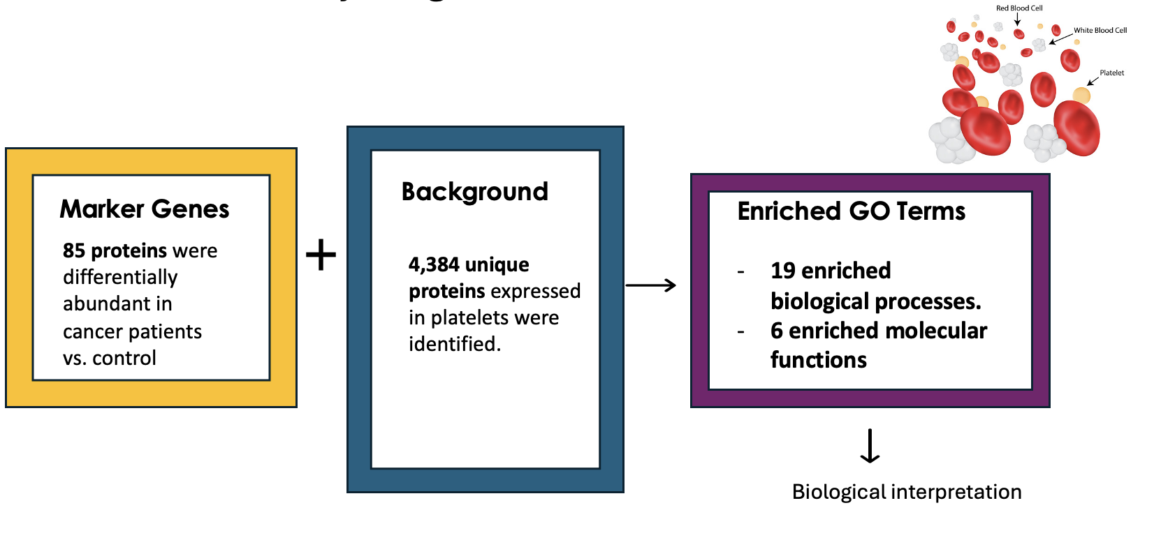 slide19