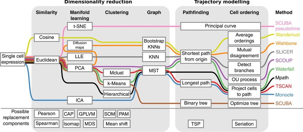 A scheme showing a pipeline how single cell expression data is being processed: 1) similarity: cosine and Euclidean, 2) manifold learning:  t-SNE, diffusion maps, LLE, PCA, ICA, 3) clustering: Mclust, k-Means, Hierarchical, 4) graph: Bootstrap, KNN, MST, 5) pathfinding: principal curve, shortest path from origin, longest path, binary tree, 6) cell ordering: principal curve, average orderings, mutual disagreement, detect branches, OU process, project cells to path, optimize tree, 7) method: SCUBA pseudotime, Wanderlust, Wishbone, SLICER, SCOUP, Waterfall, Mpath, TSCAN, Monocle, SCUBA