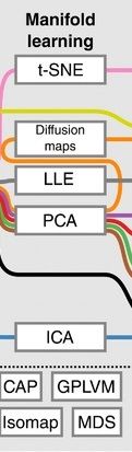 Fragment cut from the pipeline - manifold learning:  t-SNE, diffusion maps, LLE, PCA, ICA (additionally CAP, GPLVM, Isomap, MDS)