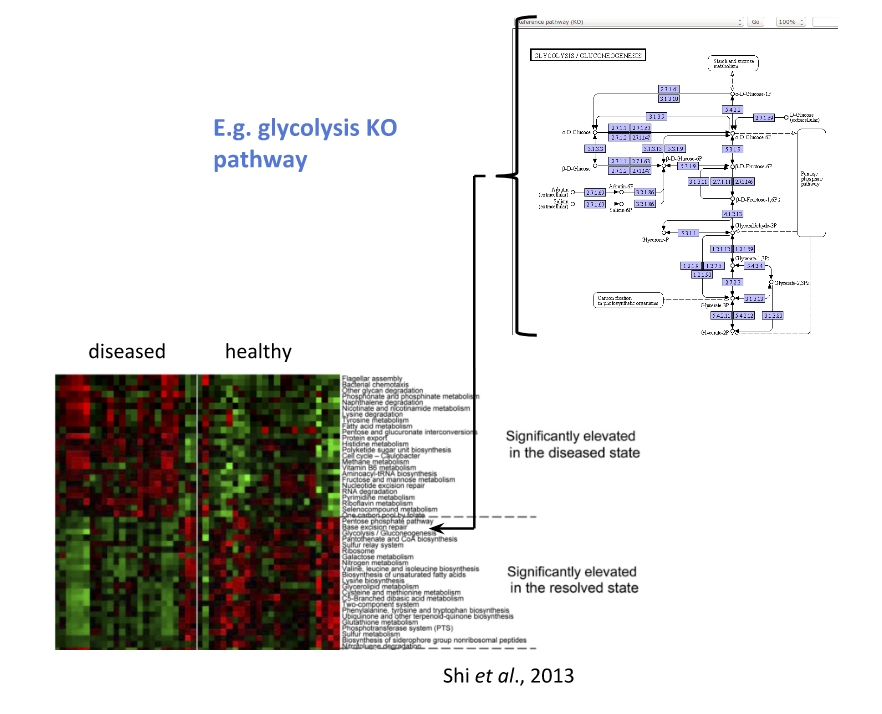 funtional signatures of healthy and disease samples