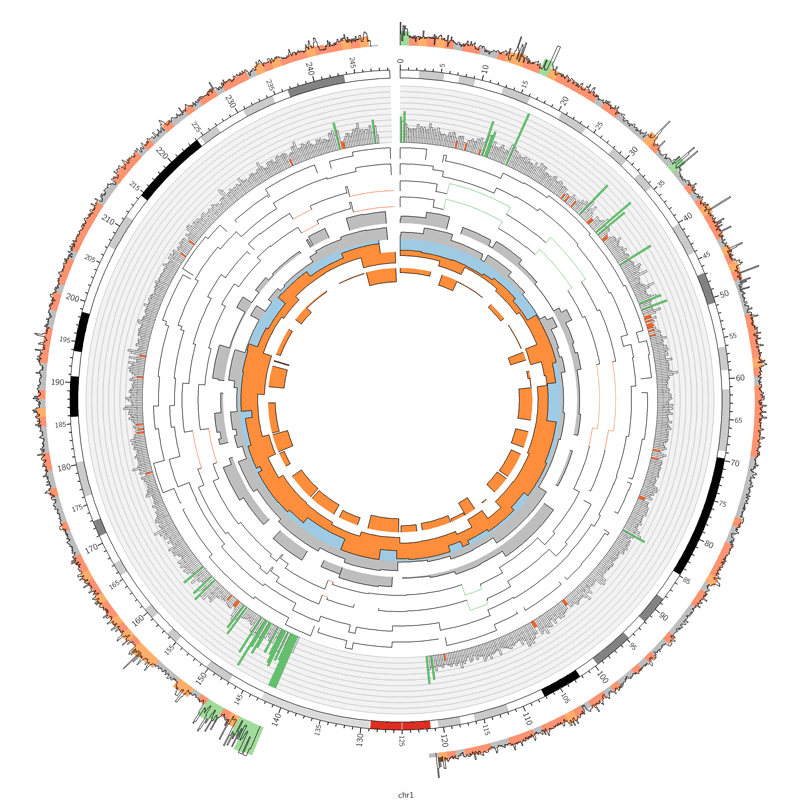 Example of a Circos Histogram track